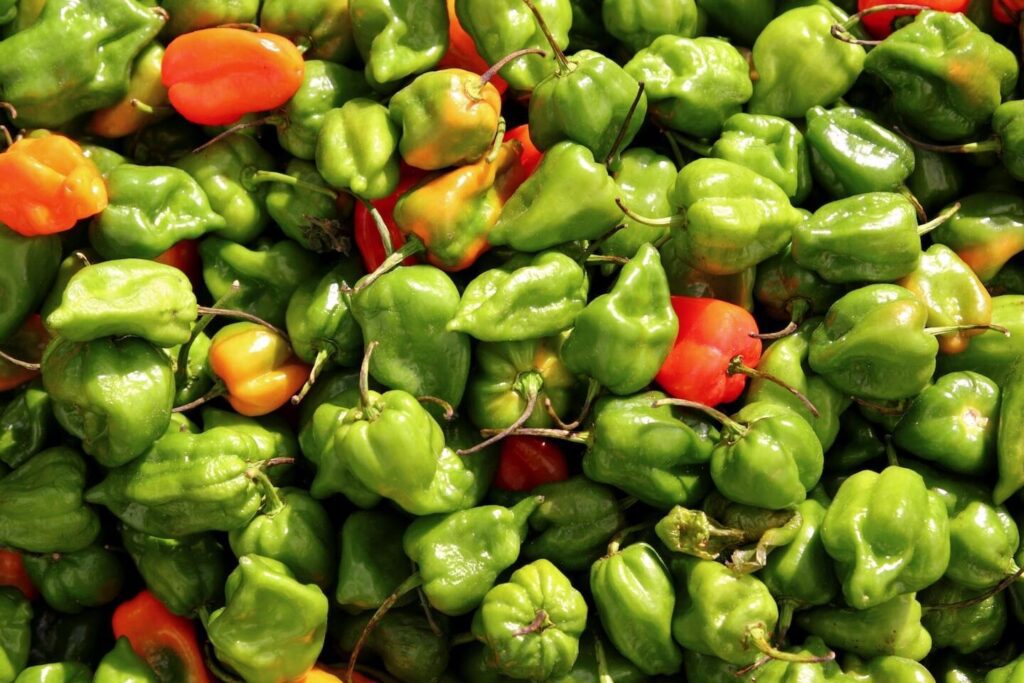 carolina reaper vs pimiento habanero