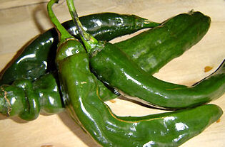 chile pasilla un maravilloso chile