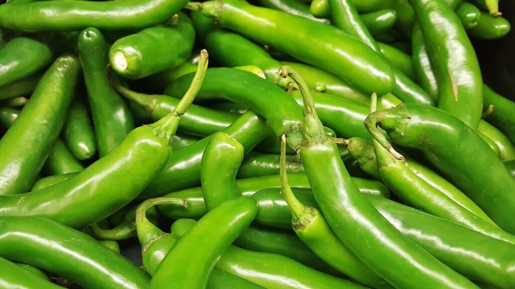 Chiles Serranos: Picor, Sabor y Cómo Cultivarlos chiles serranos picor sabor y como cultivarlos