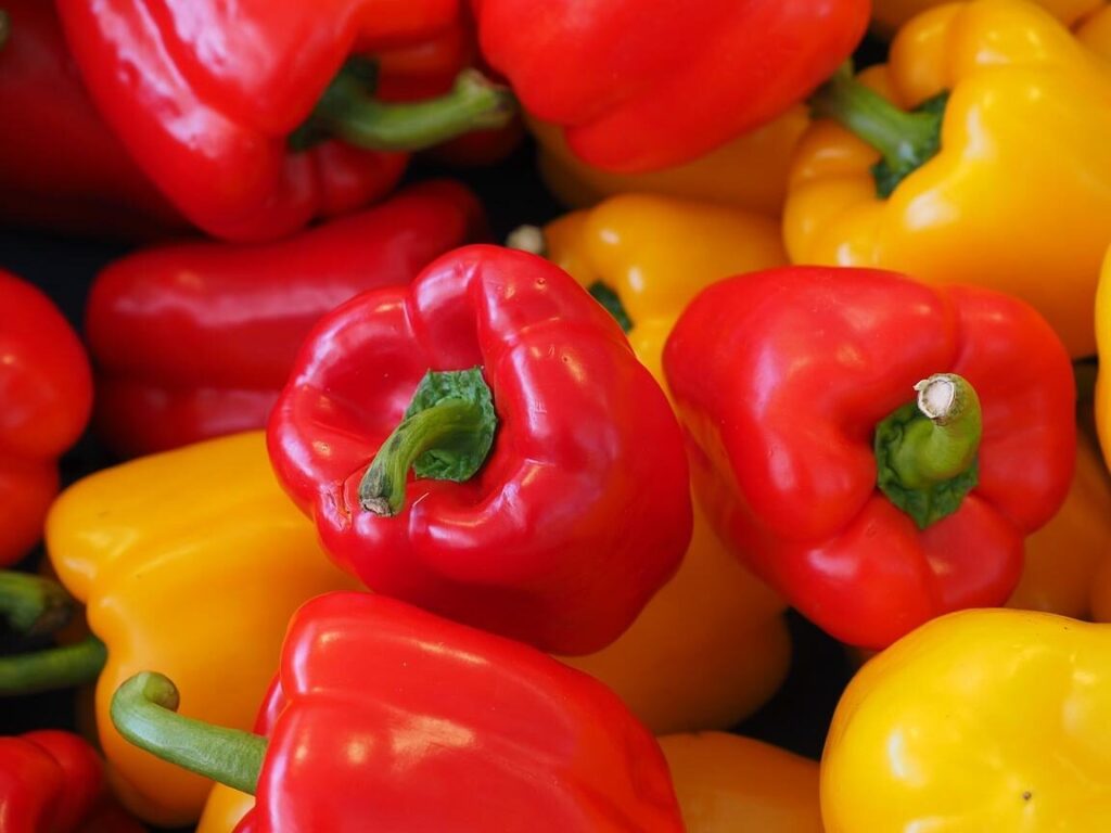es necesario refrigerar los pimientos