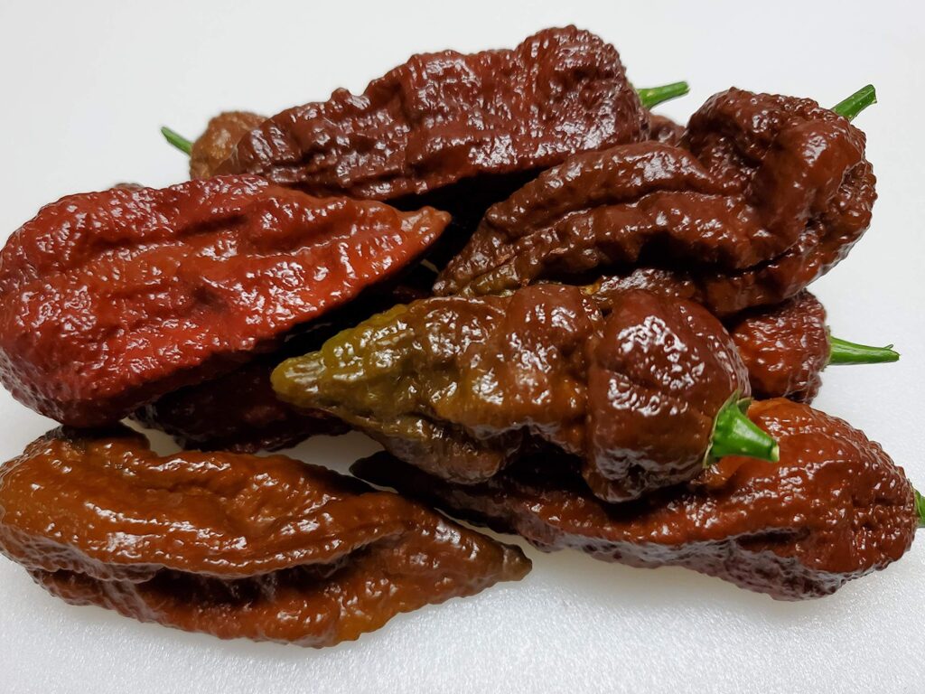 Pimienta Bhutlah con chocolate: entre las más picantes pimienta bhutlah con chocolate entre las mas picantes