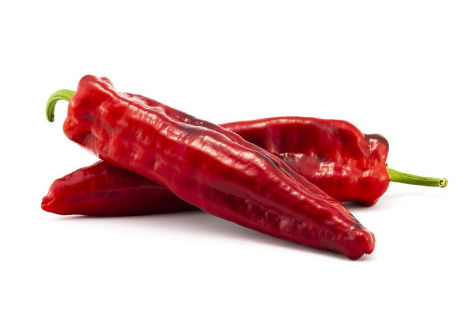 Pimientos Pimiento – Pimentos rojos dulces pimientos pimiento pimentos rojos dulces