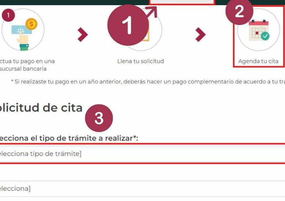 Cómo sacar citas de cédula profesional SEP como sacar citas de cedula profesional sep