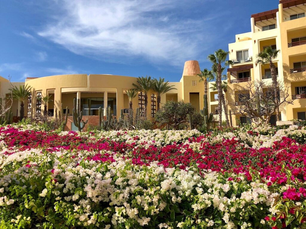¡Descubre el paraíso escondido en México con las mejores opciones de bienes raíces en East Cape! descubre el paraiso escondido en mexico con las mejores opciones de bienes raices en east cape 1