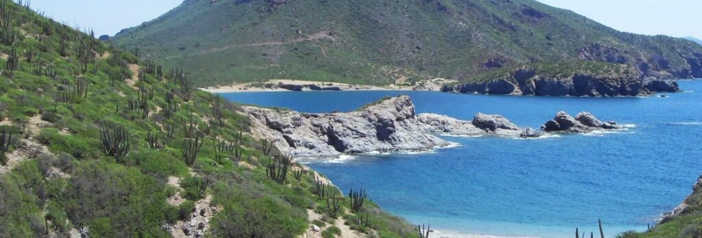 Descubre el paraíso marino en San Carlos México ¡No podrás resistirte a sus encantos! descubre el paraiso marino en san carlos mexico no podras resistirte a sus encantos