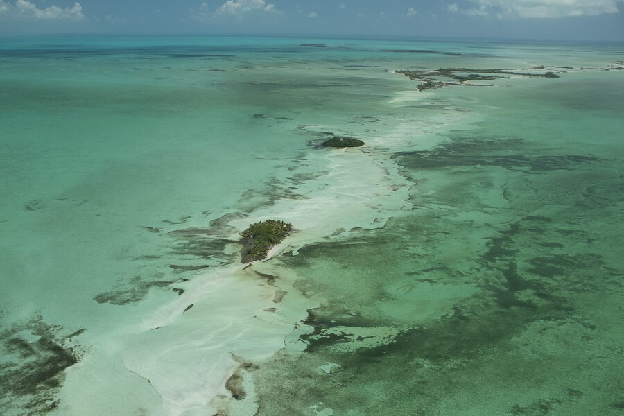 Descubre el paraíso pesquero en Ascension Bay, México: Mapa, ubicación y consejos imprescindibles descubre el paraiso pesquero en ascension bay mexico mapa ubicacion y consejos imprescindibles