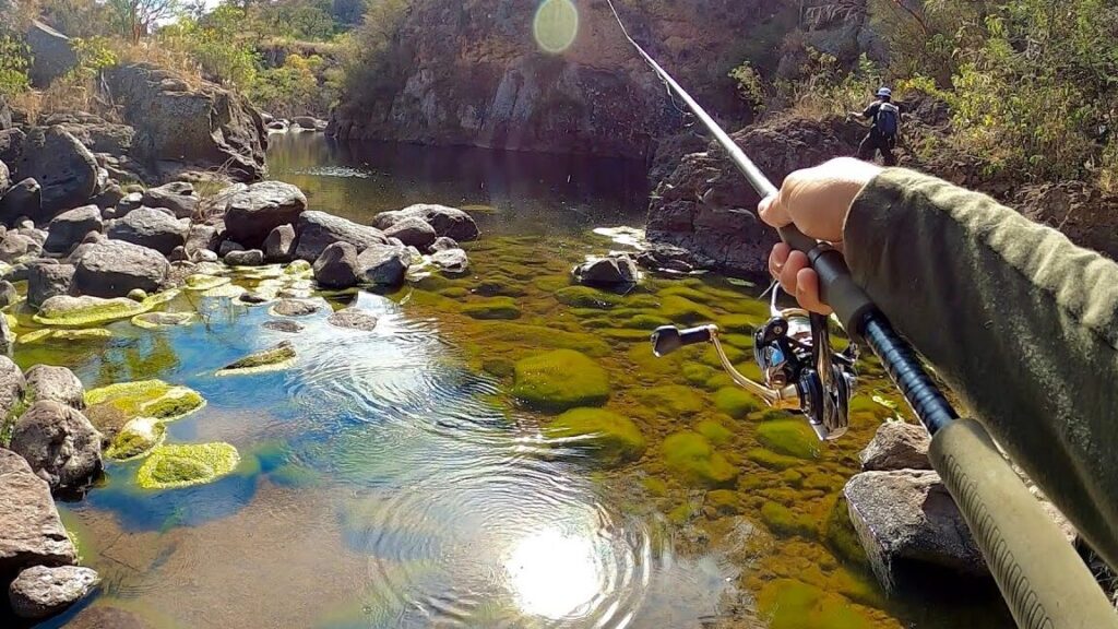 Descubre el paraíso secreto para la pesca de bajo en el Lago Guerrero, México descubre el paraiso secreto para la pesca de bajo en el lago guerrero mexico