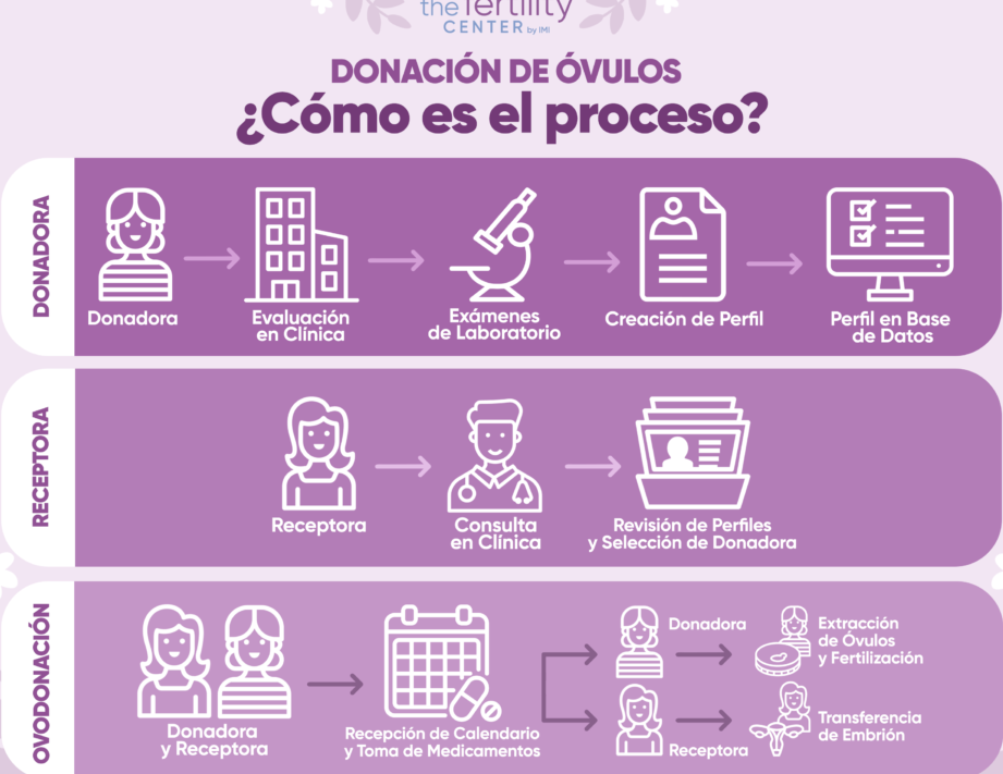 Descubre el secreto mejor guardado en México: la base de datos de donantes de óvulos ¡Te sorprenderás! descubre el secreto mejor guardado en mexico la base de datos de donantes de ovulos te sorprenderas