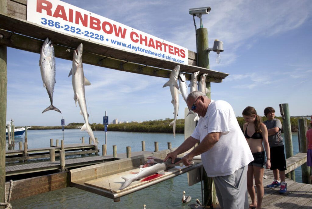descubre las maravillas de la pesca en el muelle de mexico beach florida