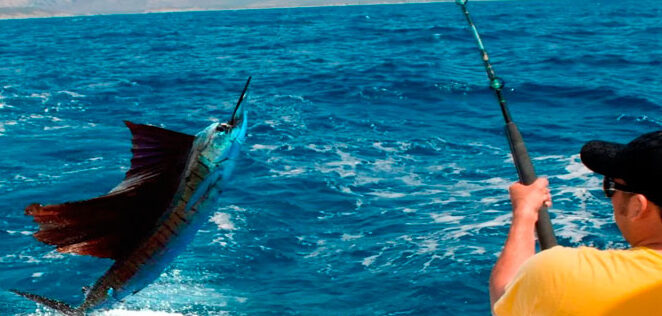Descubre las mejores técnicas de pesca en San Carlos, México: una experiencia inolvidable en el paraíso marino descubre las mejores tecnicas de pesca en san carlos mexico una experiencia inolvidable en el paraiso marino