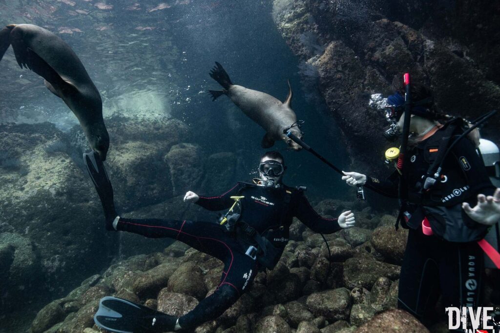 Descubre los mejores servicios de buceo en La Paz, México: Dive Shop La Paz, tu destino para aventuras submarinas descubre los mejores servicios de buceo en la paz mexico dive shop la paz tu destino para aventuras submarinas