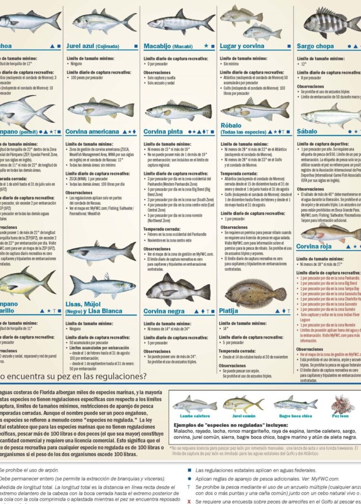 Informe de pesca en México Beach, FL: todo lo que necesitas saber informe de pesca en mexico beach fl todo lo que necesitas saber