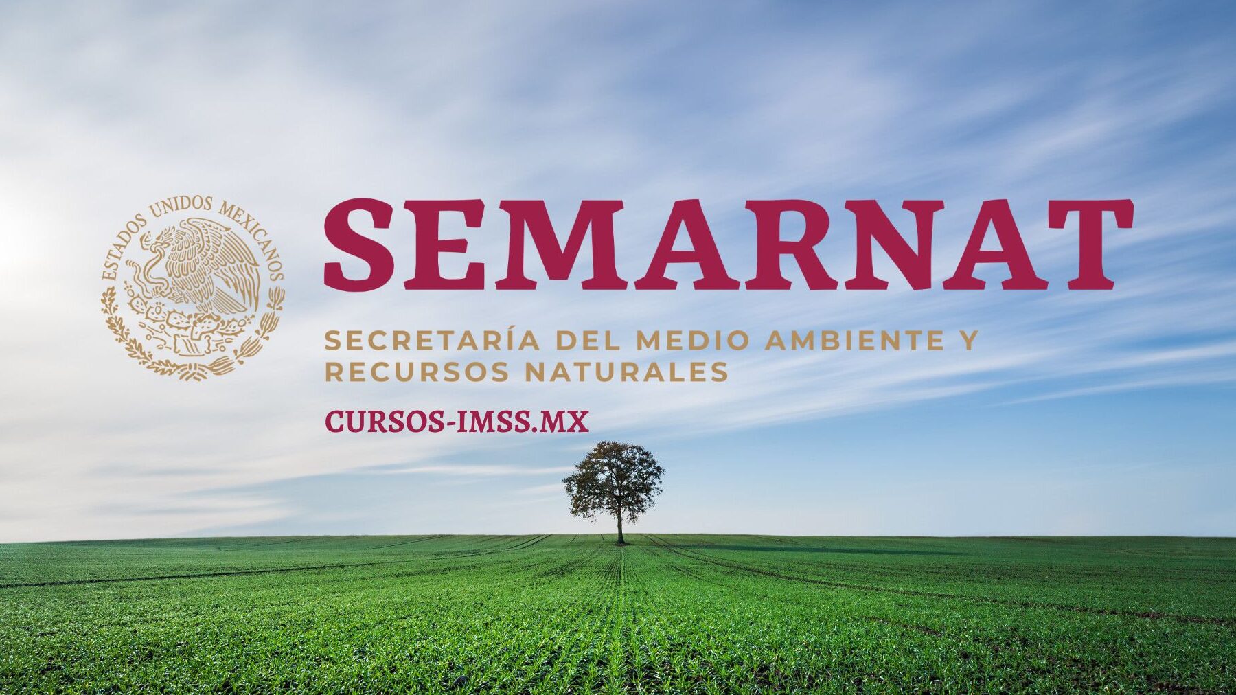 Te decimos que es SEMARNAT y todos los trámites que puedes hacer con ...