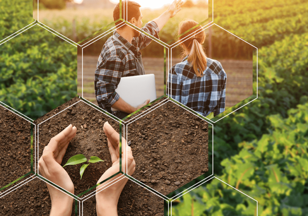 Celebrando el Día del Agrónomo en México: ¡Descubre el papel clave de estos profesionales en la industria agrícola del país! celebrando el dia del agronomo en mexico descubre el papel clave de estos profesionales en la industria agricola del pais