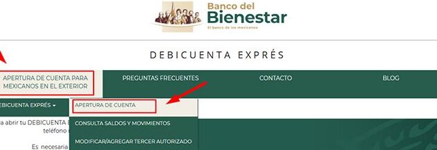 como activar tarjeta bansefi en linea