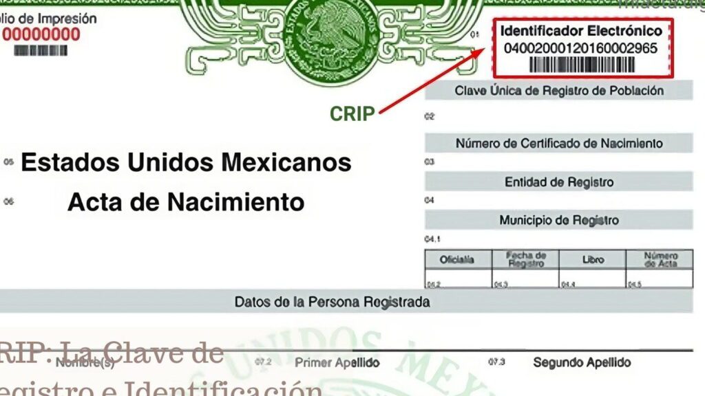Conoce que es el CRIP de la partida de nacimiento conoce que es el crip de la partida de nacimiento