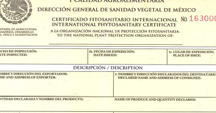 Conoce qué es y cómo se tramita el Certificado Fitosanitario Internacional conoce que es y como se tramita el certificado fitosanitario internacional