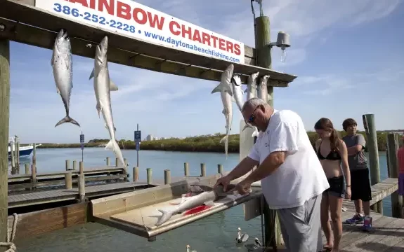 Descubre el encanto de la pesca en el muelle de Mexico Beach, FL descubre el encanto de la pesca en el muelle de mexico beach fl