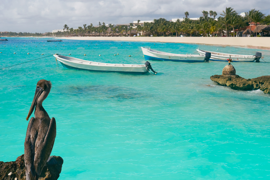 descubre el paraiso escondido en akumal mexico la bahia que te dejara sin aliento