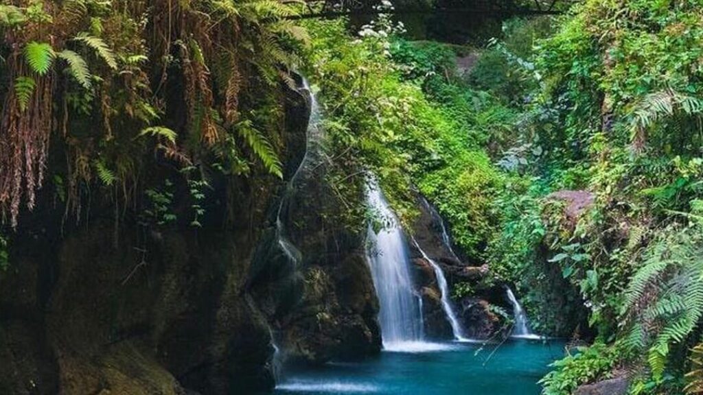 ¡Descubre el paraíso escondido en Veracruz! La guía definitiva de bienes raíces en México descubre el paraiso escondido en veracruz la guia definitiva de bienes raices en mexico