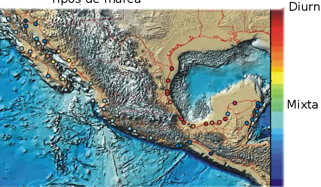 ¡Descubre el secreto de las mareas en Playa México! Consulta nuestro gráfico de mareas y no te pierdas las mejores experiencias en la costa descubre el secreto de las mareas en playa mexico consulta nuestro grafico de mareas y no te pierdas las mejores experiencias en la costa
