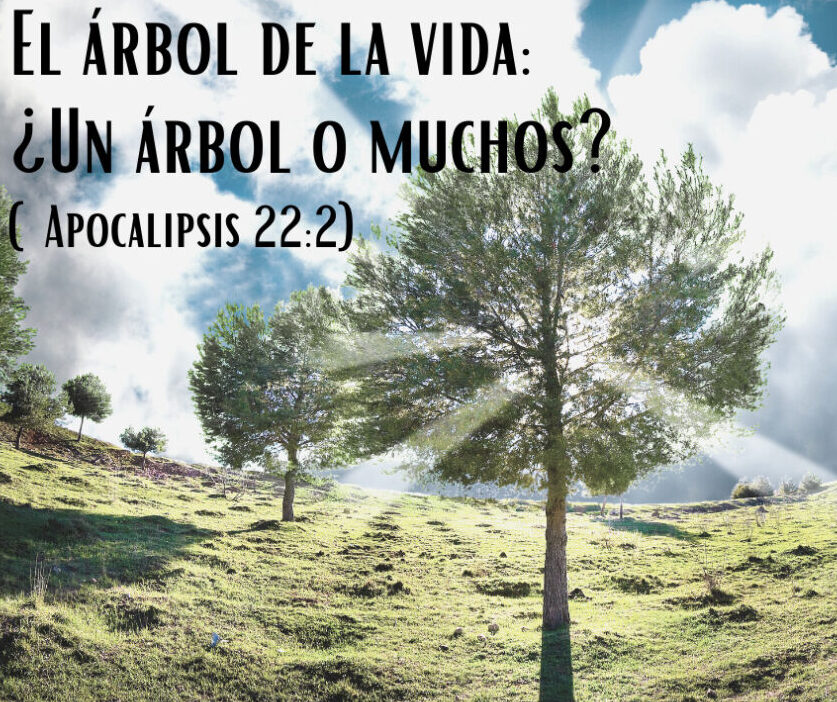 Descubre el secreto del árbol de la vida para una salud impecable descubre el secreto del arbol de la vida para una salud impecable