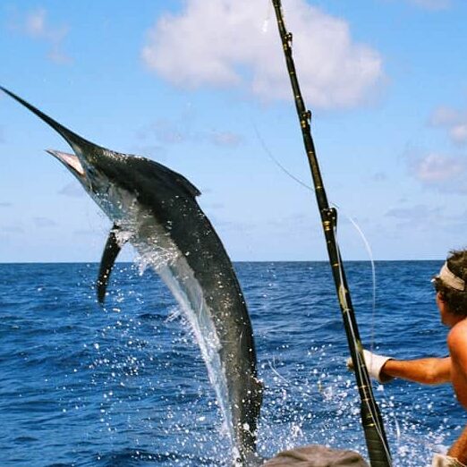 Explora la pesca en el mar profundo en la Riviera Maya de México: una aventura única y emocionante explora la pesca en el mar profundo en la riviera maya de mexico una aventura unica y emocionante