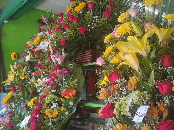 La increíble florería en Mazatlán, Sinaloa: Descubre los secretos de los mejores arreglos florales en México la increible floreria en mazatlan sinaloa descubre los secretos de los mejores arreglos florales en