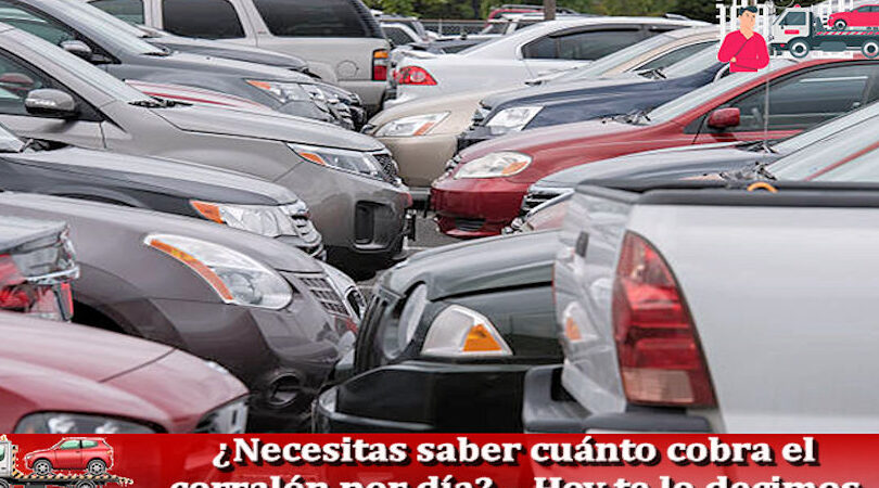 necesitas saber cuanto cobra el corralon por dia hoy te lo decimos