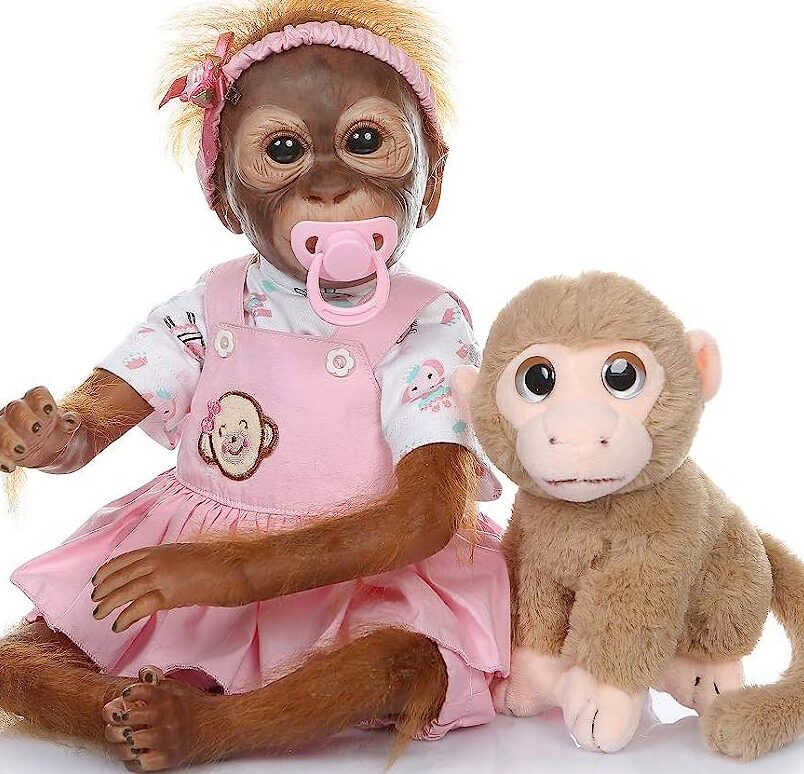 descubre donde puedes comprar monos bebes en mexico y conviertete en el dueno mas adorable del pais