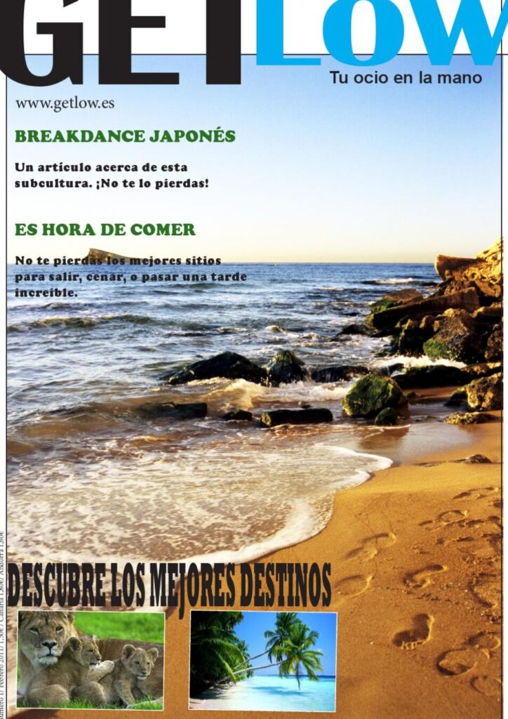 descubre los increibles bird dogs en mexico beach la guia definitiva para avistar estas asombrosas y unicas especies