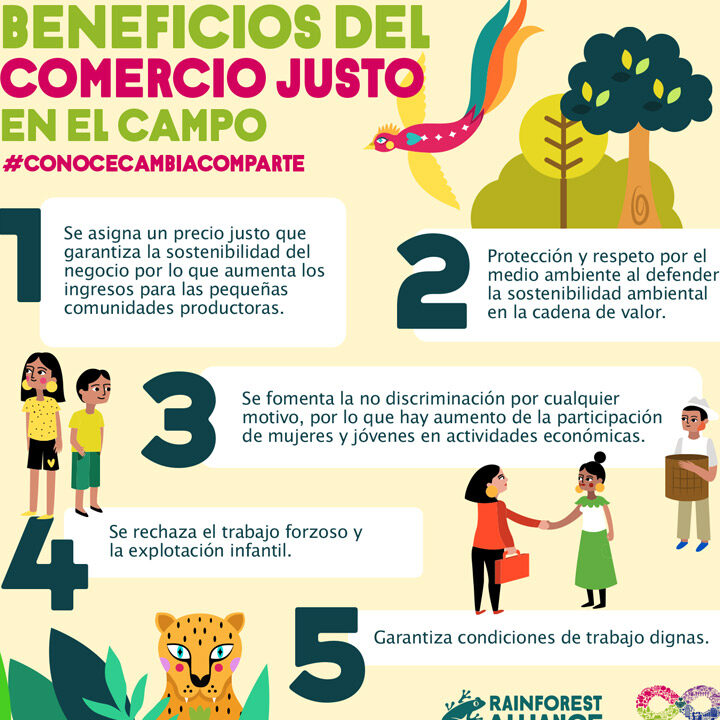 Descubre los productos de comercio justo en México: una opción ética y sostenible descubre los productos de comercio justo en mexico una opcion etica y sostenible