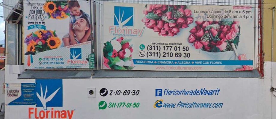 La Mejor Florería en Tepic, Nayarit, México: Descubre la Belleza Natural a Tu Alcance la mejor floreria en tepic nayarit mexico descubre la belleza natural a tu alcance